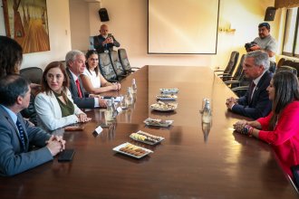 WhatsApp Image 2026-03-17 at 11.20.31 (1).jpeg